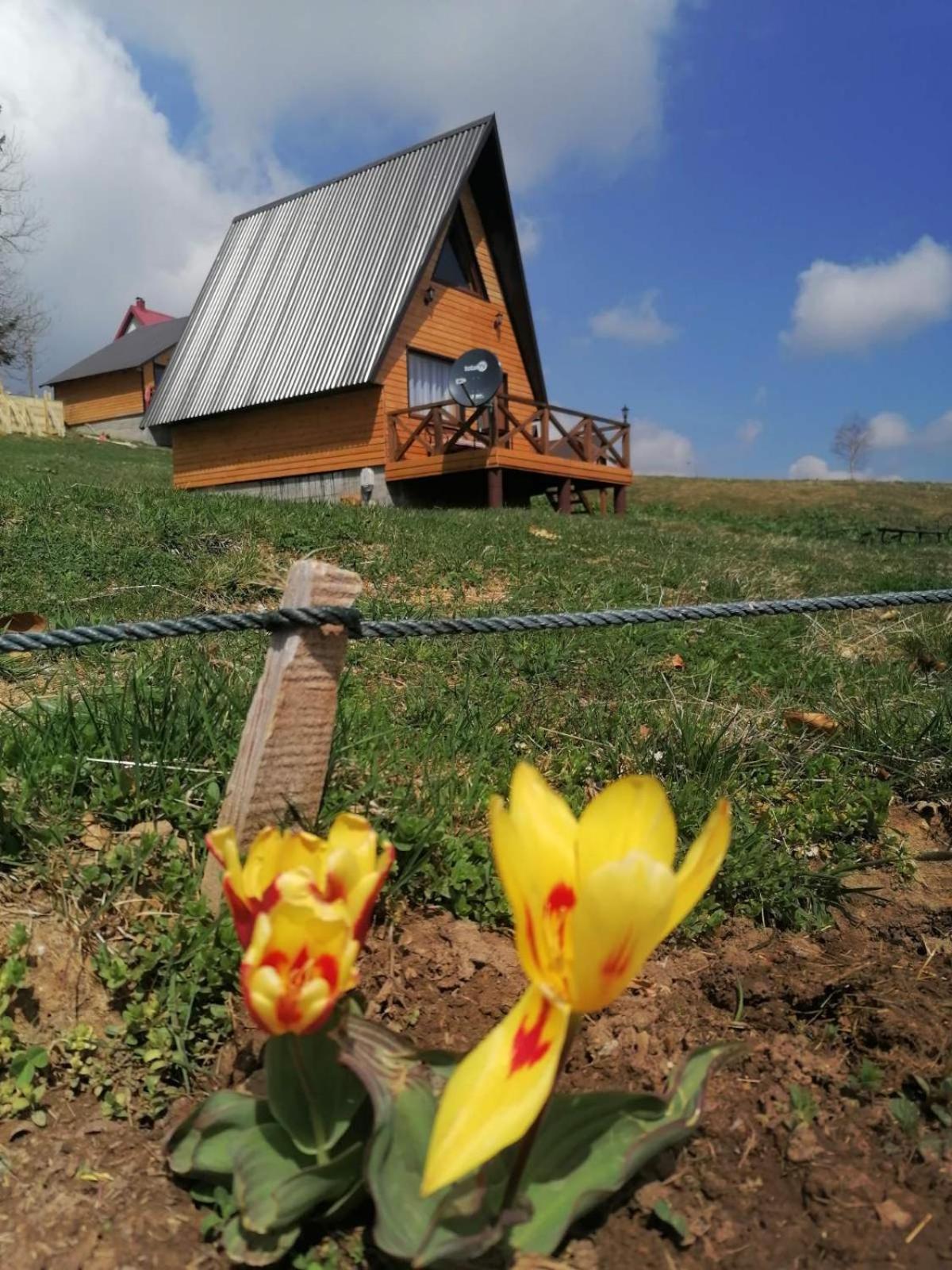 Koliba Luca Smrcevo Brdo Villa Zabljak  Luaran gambar